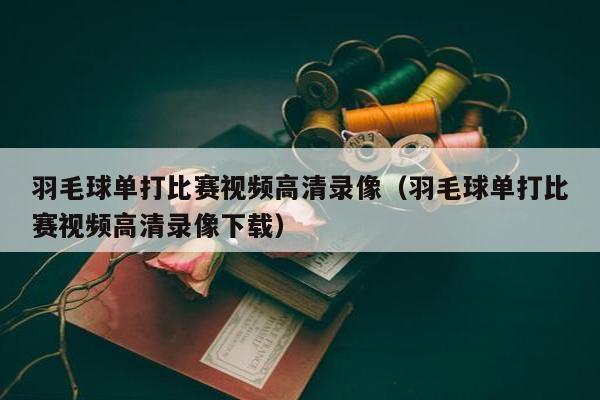 羽毛球单打比赛视频高清录像（羽毛球单打比赛视频高清录像下载）