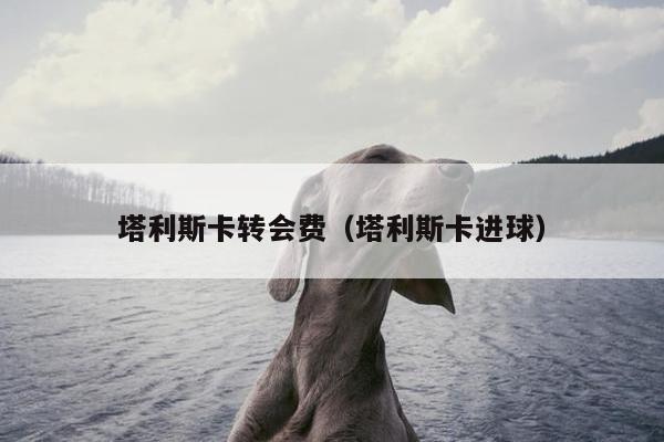 塔利斯卡转会费（塔利斯卡进球）