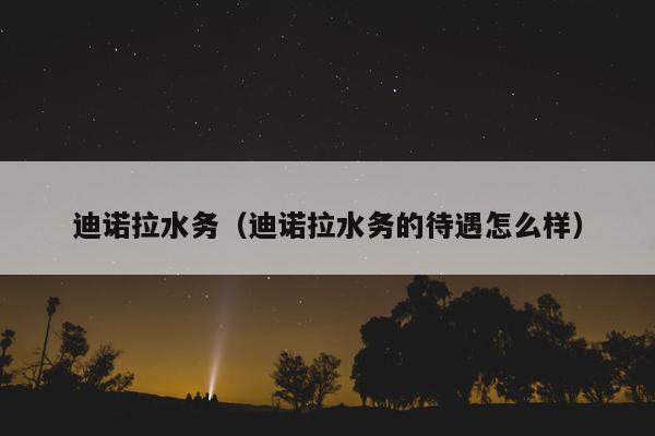 迪诺拉水务（迪诺拉水务的待遇怎么样）