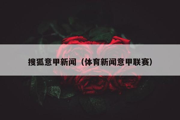 搜狐意甲新闻（体育新闻意甲联赛）