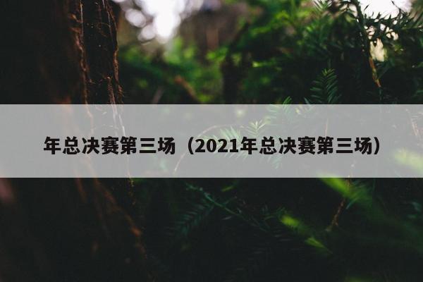 年总决赛第三场（2021年总决赛第三场）