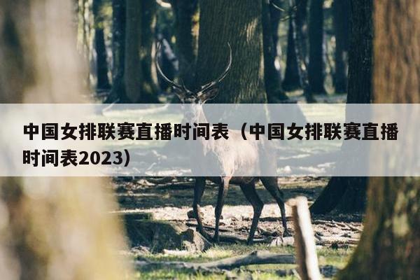 中国女排联赛直播时间表（中国女排联赛直播时间表2023）