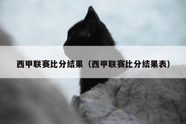 西甲联赛比分结果（西甲联赛比分结果表）