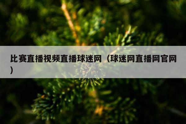 比赛直播视频直播球迷网（球迷网直播网官网）