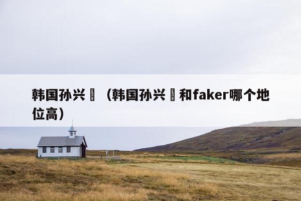 韩国孙兴慜（韩国孙兴慜和faker哪个地位高）