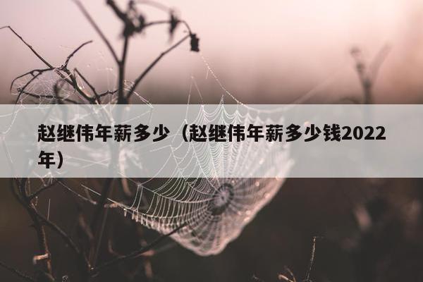 赵继伟年薪多少（赵继伟年薪多少钱2022年）