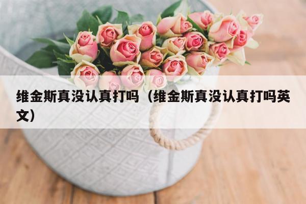 维金斯真没认真打吗（维金斯真没认真打吗英文）