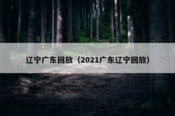 辽宁广东回放（2021广东辽宁回放）