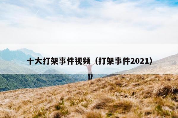 十大打架事件视频（打架事件2021）