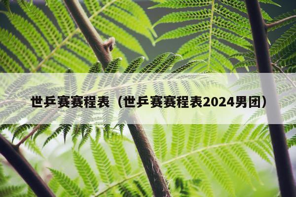 世乒赛赛程表（世乒赛赛程表2024男团）