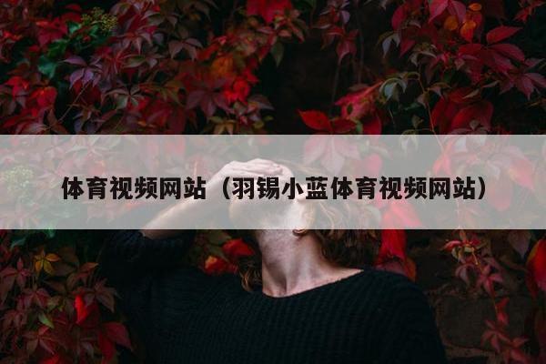 体育视频网站（羽锡小蓝体育视频网站）