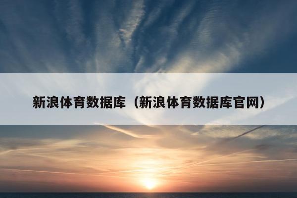 新浪体育数据库（新浪体育数据库官网）