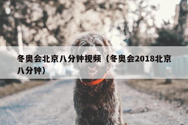 冬奥会北京八分钟视频（冬奥会2018北京八分钟）