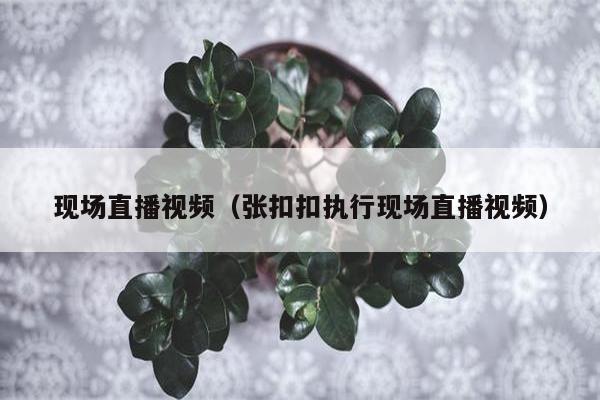 现场直播视频（张扣扣执行现场直播视频）