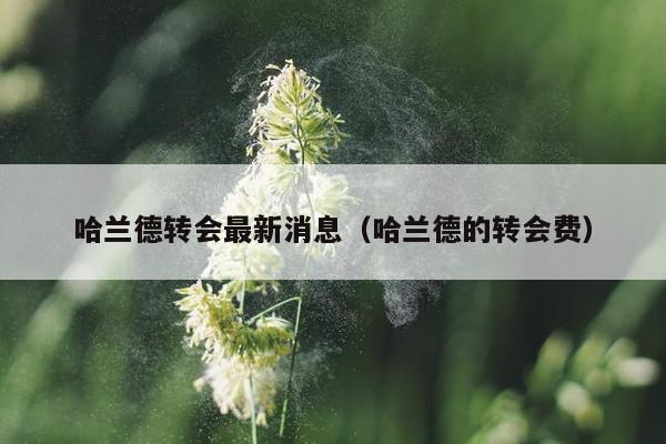 哈兰德转会最新消息（哈兰德的转会费）