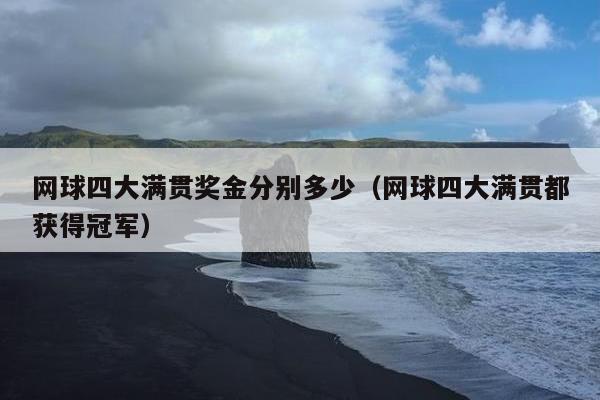 网球四大满贯奖金分别多少（网球四大满贯都获得冠军）