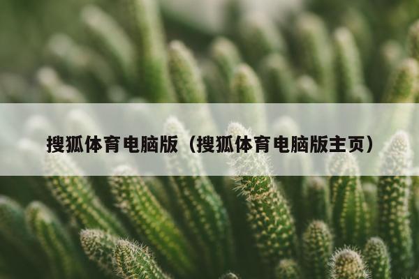 搜狐体育电脑版（搜狐体育电脑版主页）