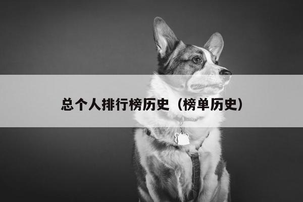 总个人排行榜历史（榜单历史）