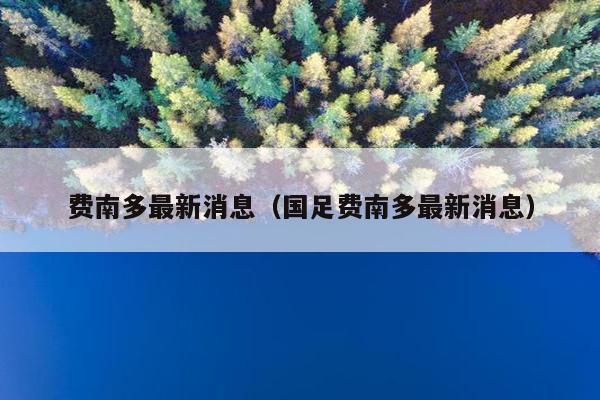 费南多最新消息（国足费南多最新消息）