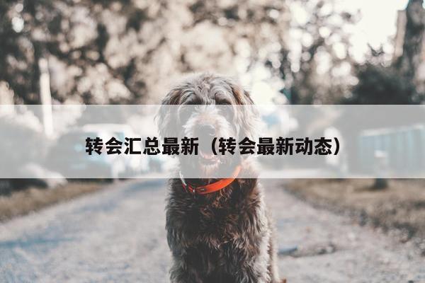 转会汇总最新（转会最新动态）