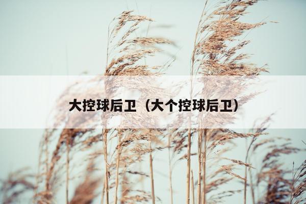 大控球后卫（大个控球后卫）