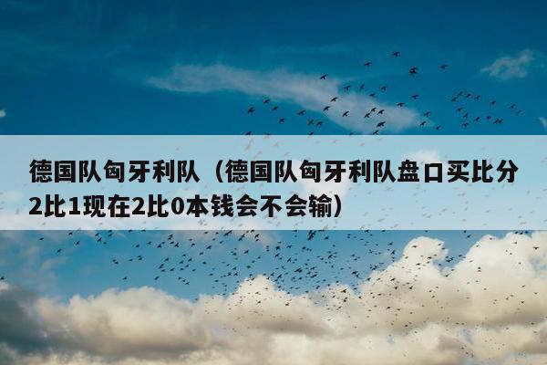 德国队匈牙利队（德国队匈牙利队盘口买比分2比1现在2比0本钱会不会输）