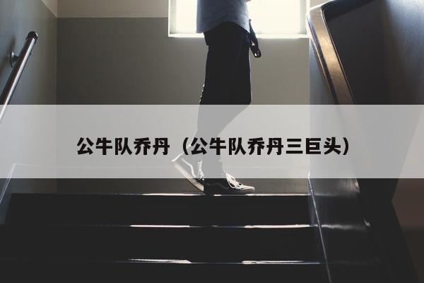 公牛队乔丹（公牛队乔丹三巨头）