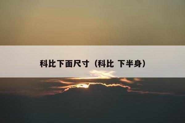 科比下面尺寸（科比 下半身）