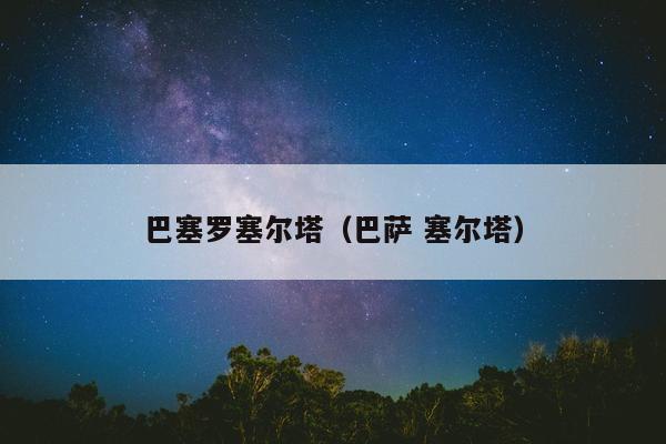 巴塞罗塞尔塔（巴萨 塞尔塔）