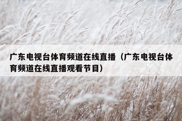 广东电视台体育频道在线直播（广东电视台体育频道在线直播观看节目）