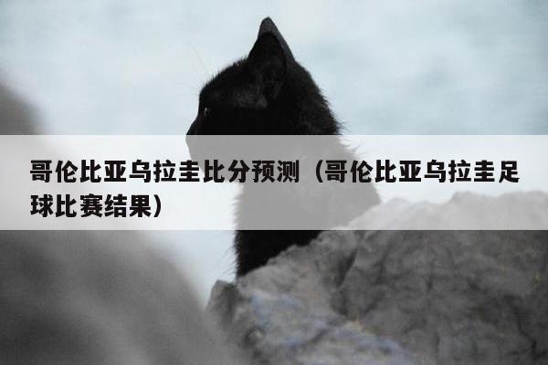 哥伦比亚乌拉圭比分预测（哥伦比亚乌拉圭足球比赛结果）