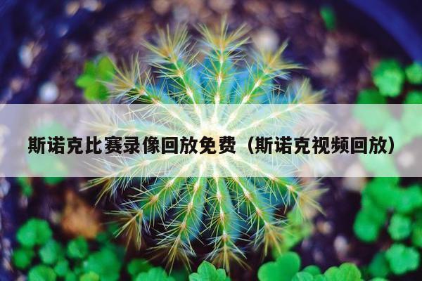 斯诺克比赛录像回放免费（斯诺克视频回放）