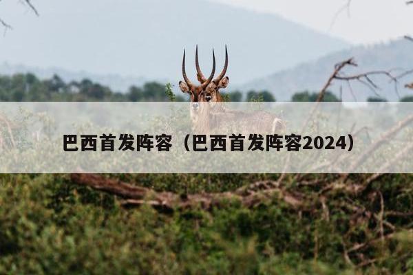 巴西首发阵容（巴西首发阵容2024）