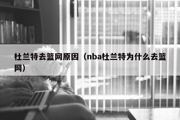 杜兰特去篮网原因（nba杜兰特为什么去篮网）