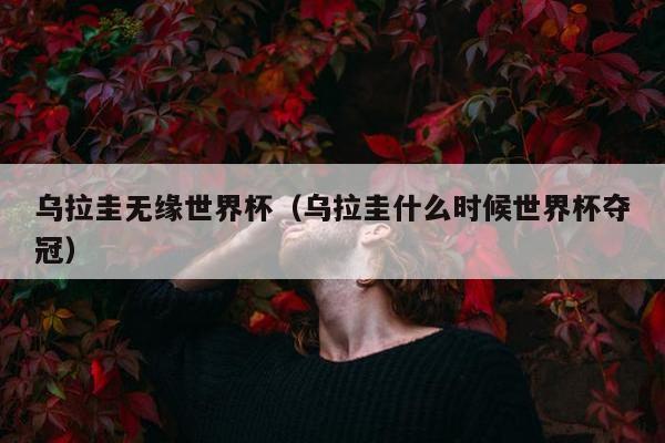 乌拉圭无缘世界杯（乌拉圭什么时候世界杯夺冠）