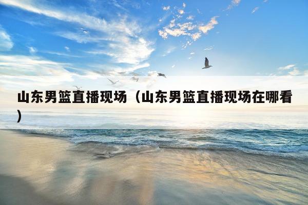 山东男篮直播现场（山东男篮直播现场在哪看）