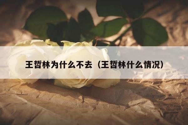 王哲林为什么不去（王哲林什么情况）