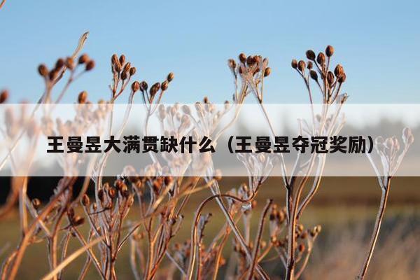 王曼昱大满贯缺什么（王曼昱夺冠奖励）