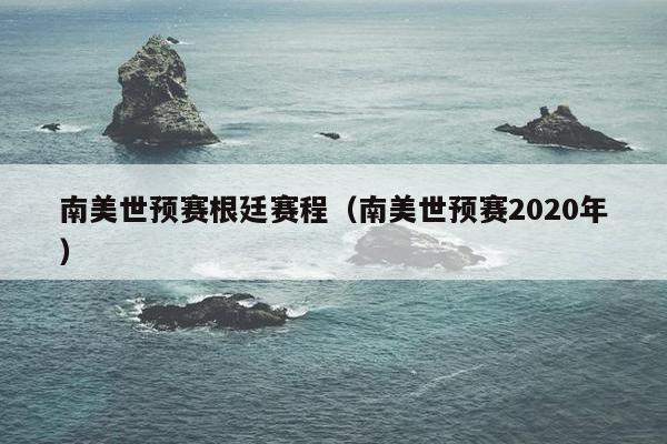 南美世预赛根廷赛程（南美世预赛2020年）