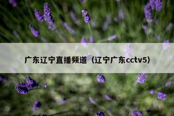 广东辽宁直播频道（辽宁广东cctv5）