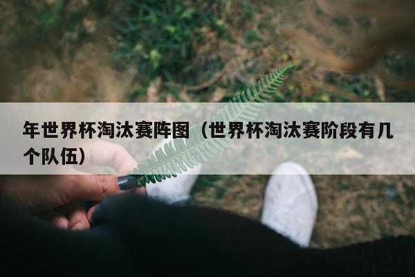 年世界杯淘汰赛阵图（世界杯淘汰赛阶段有几个队伍）