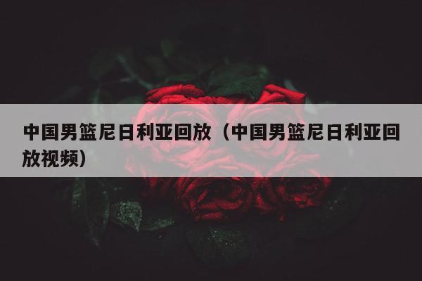 中国男篮尼日利亚回放（中国男篮尼日利亚回放视频）