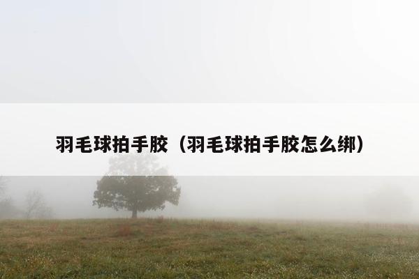 羽毛球拍手胶（羽毛球拍手胶怎么绑）