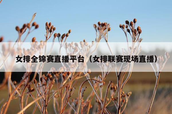 女排全锦赛直播平台（女排联赛现场直播）