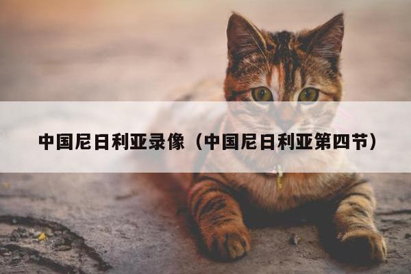 中国尼日利亚录像（中国尼日利亚第四节）