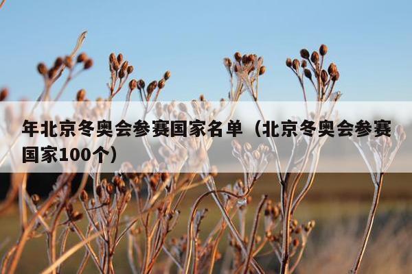 年北京冬奥会参赛国家名单（北京冬奥会参赛国家100个）