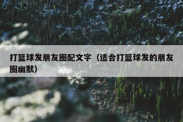 打篮球发朋友圈配文字（适合打篮球发的朋友圈幽默）