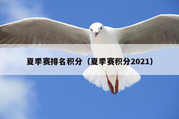 夏季赛排名积分（夏季赛积分2021）