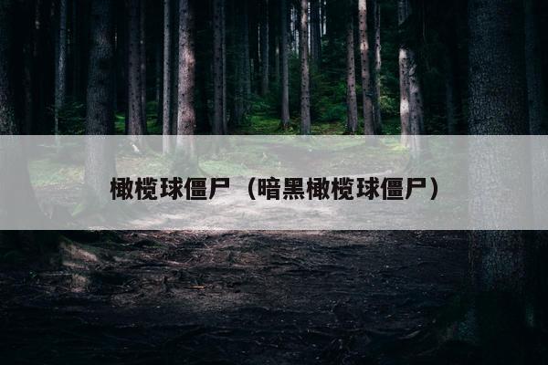 橄榄球僵尸（暗黑橄榄球僵尸）