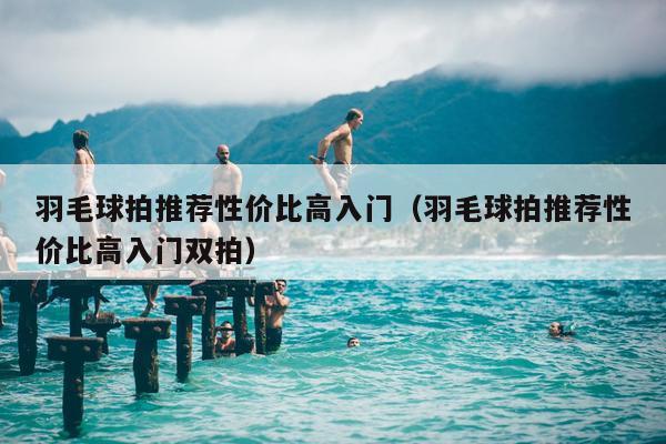 羽毛球拍推荐性价比高入门（羽毛球拍推荐性价比高入门双拍）